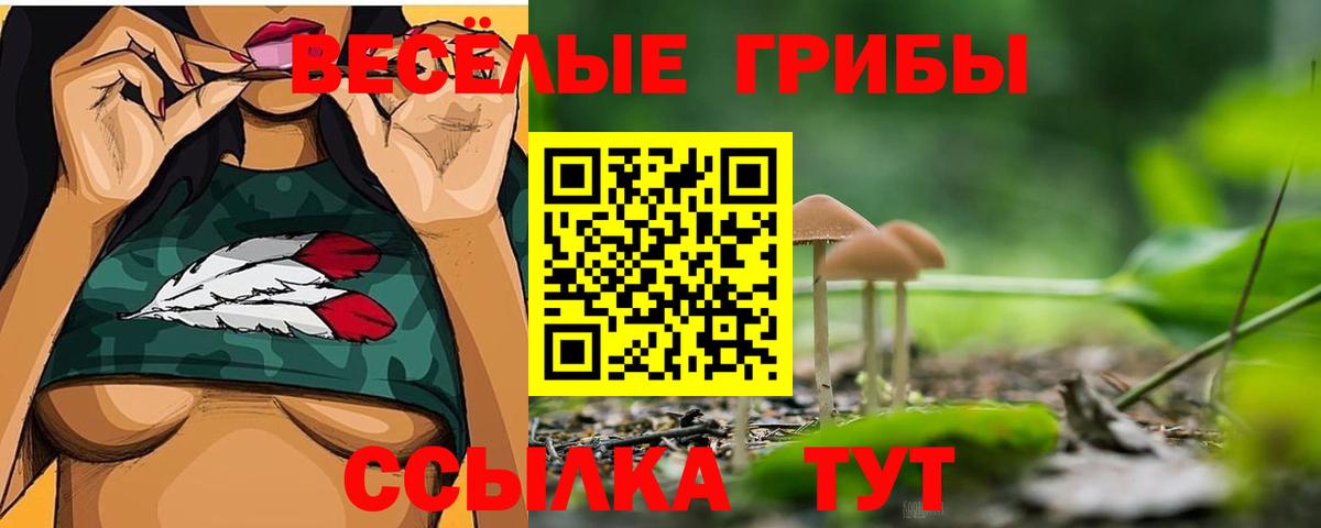 Псилоцибиновые грибы мицелий  закладки  Вятские Поляны  Вход с VPN 